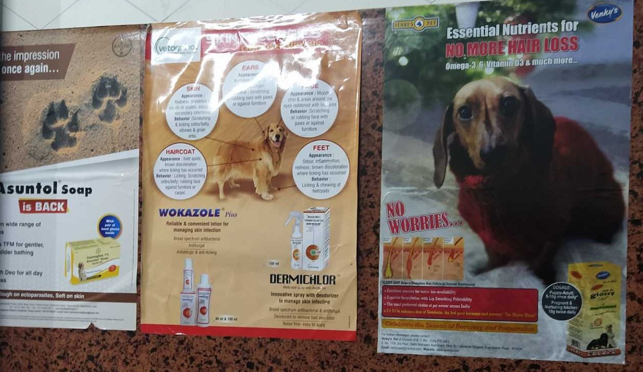 Mridul Pet Clinic And Accessories Shop