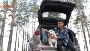 7-pet-travel-tips-for-every-pet-owner