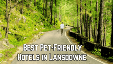best-pet-friendly-hotels-in-lansdowne