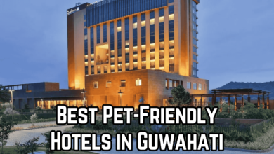 best-pet-friendly-hotels-in-guwahati